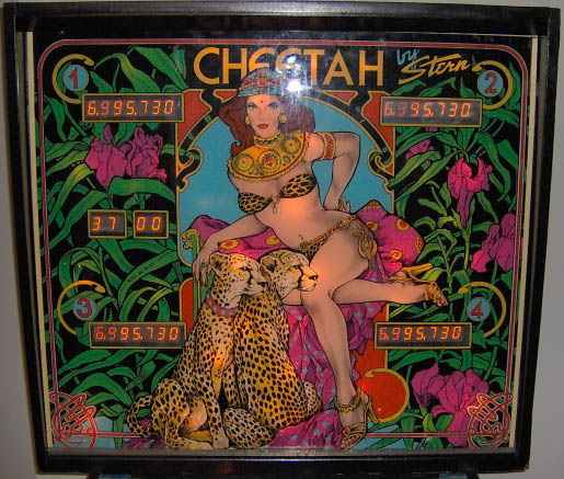 Cheetah Pinball - Image